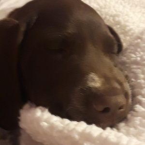 Meet your Posher, Natilee